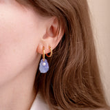 acutecolor Austern Ohrring Set