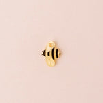 acutecolor Einzelner Bienen Anhänger