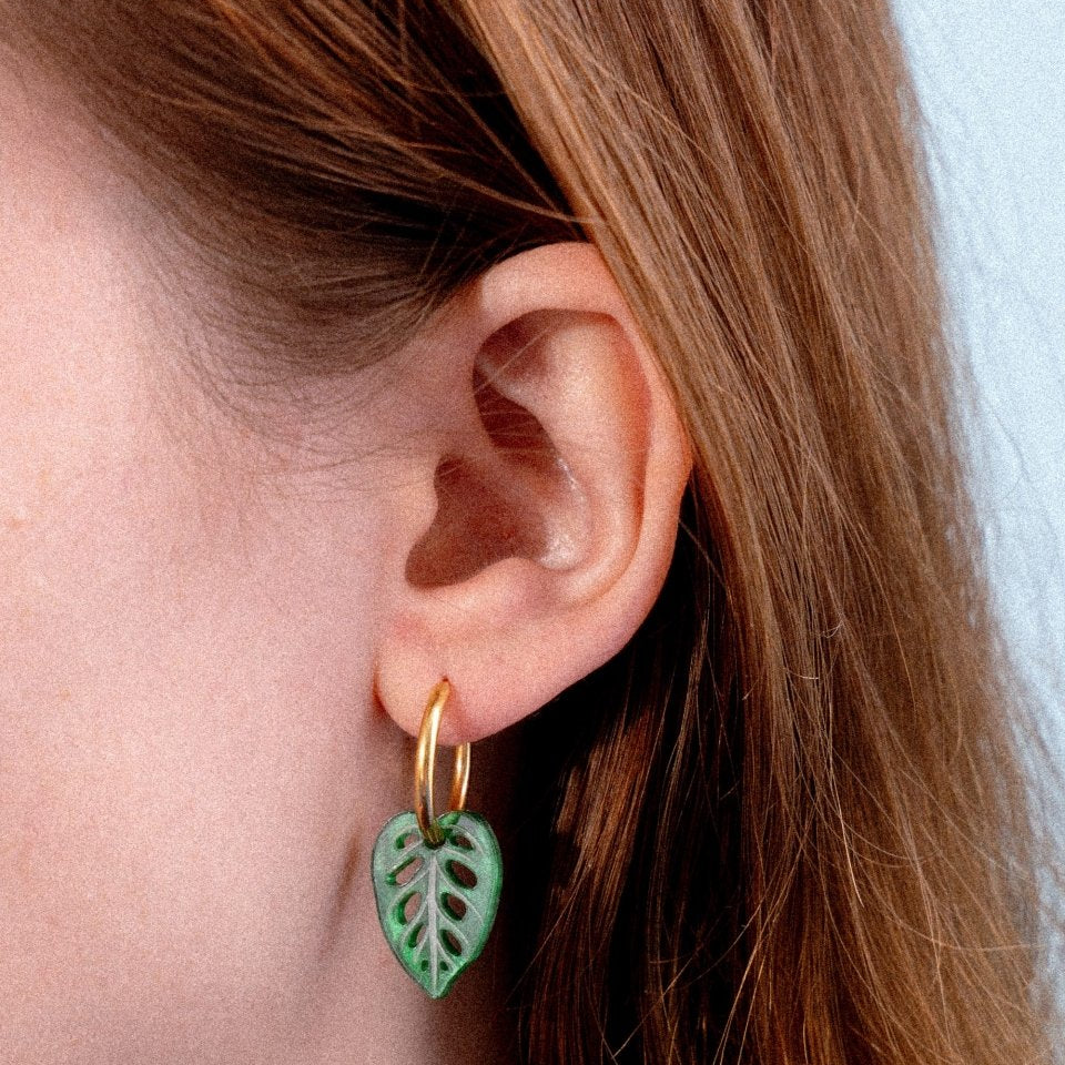 acutecolor Einzelner grüner Adansonii Anhänger