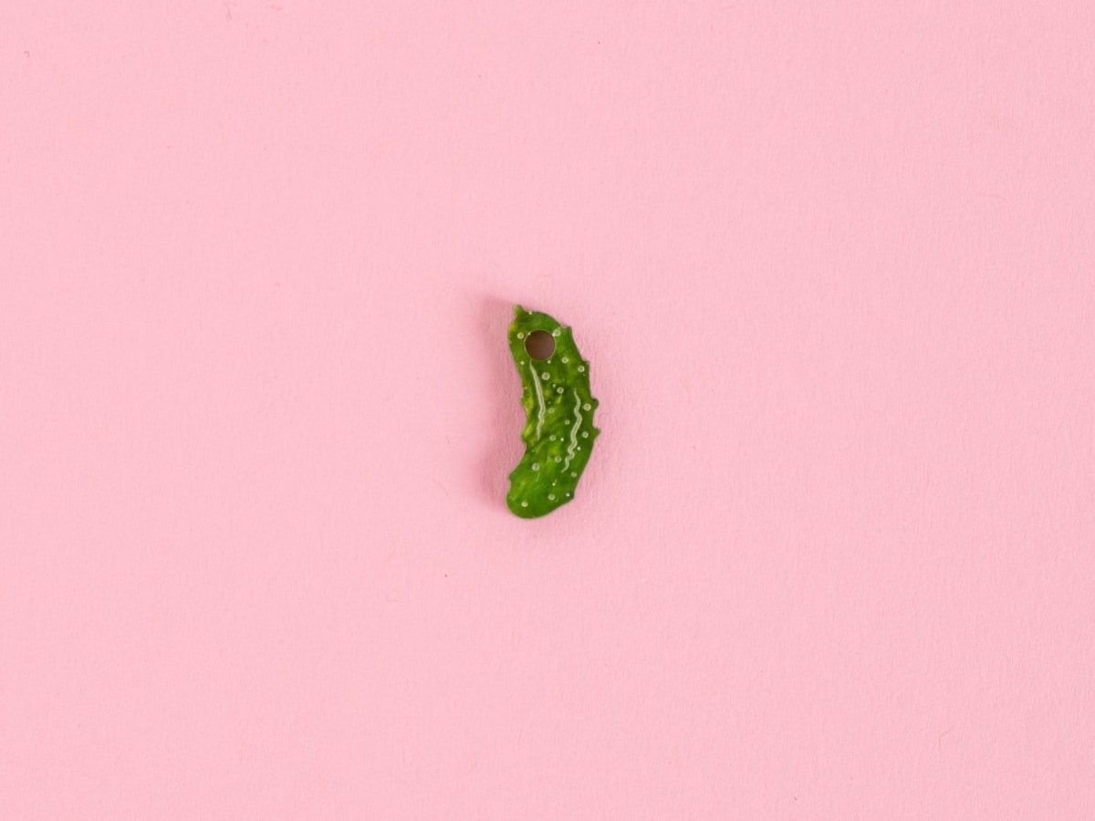 acutecolor Einzelner Gürkchen Anhänger x Zucker&Jagdwurst