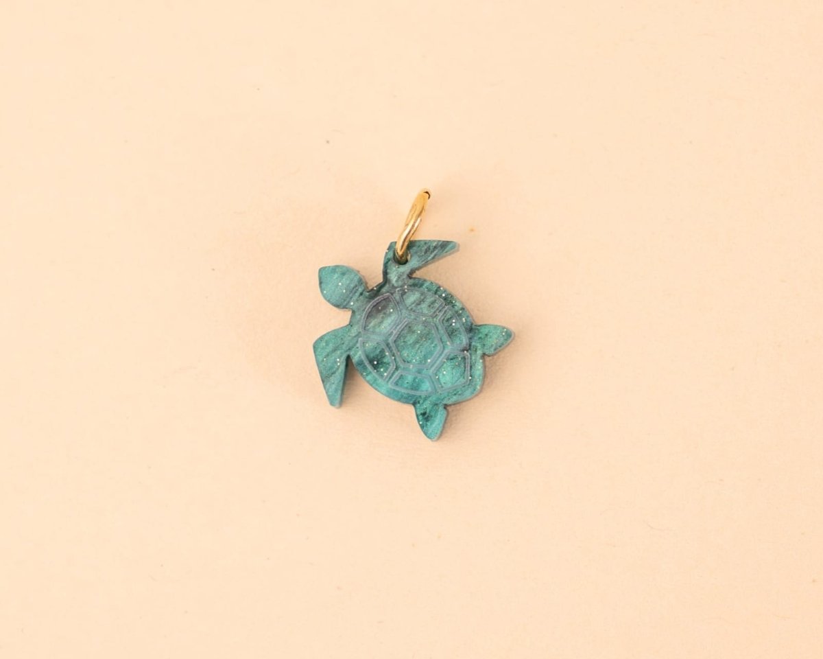 acutecolor Einzelner Schildkröten Anhänger