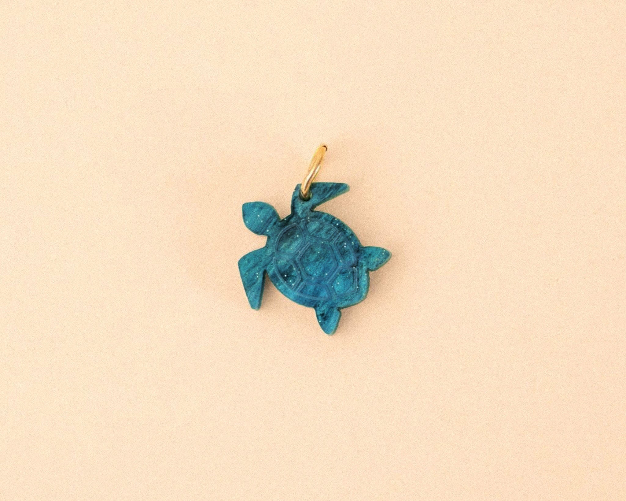 acutecolor Einzelner Schildkröten Anhänger