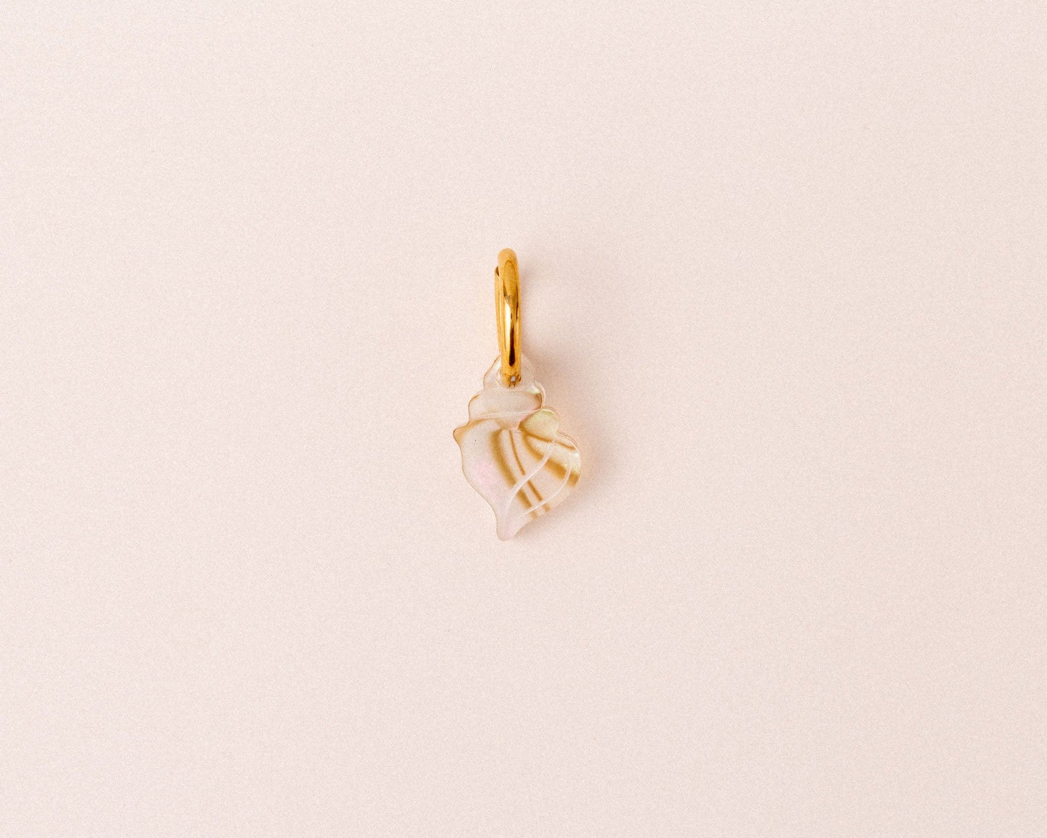 acutecolor Einzelner Zebra Muschel Anhänger