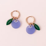 Fruit Kollektion x Blaubeeren Ohrringe Set - acutecolor