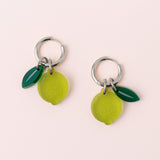 Fruit Kollektion x Limetten Ohrringe Set - acutecolor