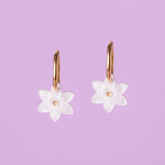acutecolor Birthflower Dezember x Narzissen Ohrring Set