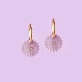 acutecolor Birthflower September x Astern Ohrring Set